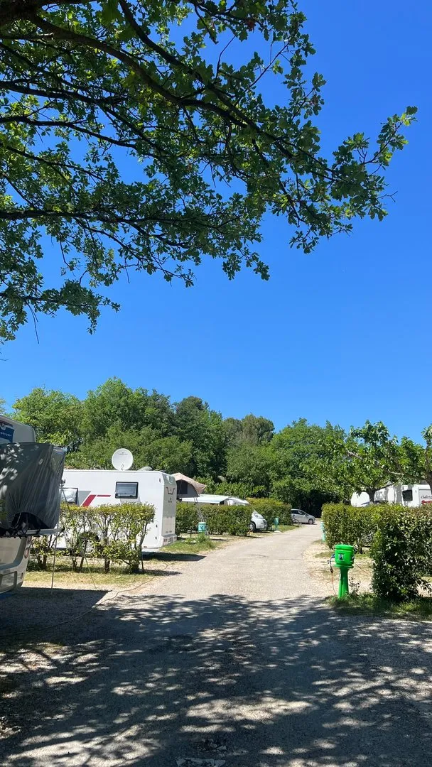 Camping Le Bosquet — photo 3